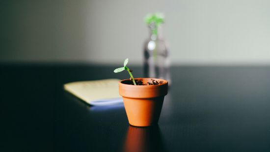 Gabriele schlägt die Klangschale im Yoga-Studio