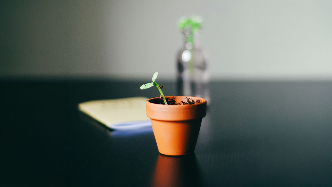 Kleiner Tontopf mit einem zarten Keimling auf einem dunklen Tisch, im Hintergrund ein Notizbuch und eine unscharfe Glasvase mit Pflanze.